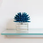 Ti Racconto Il Mare Appartement *